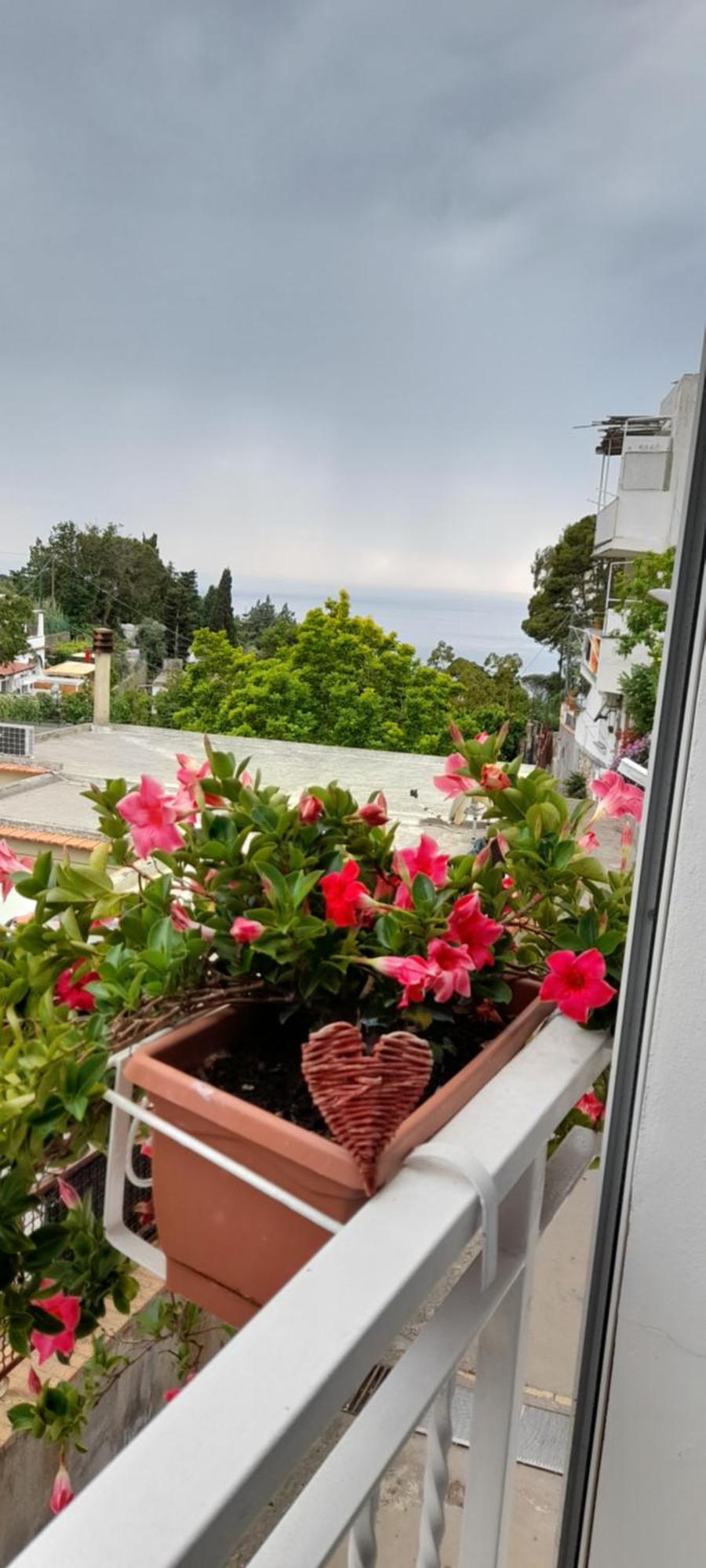 La Necussella Apartamento Anacapri  Quarto foto